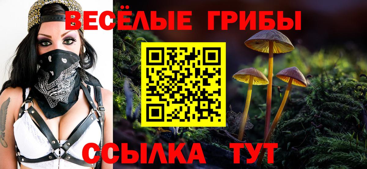 Псилоцибиновые грибы ЛСД Саров