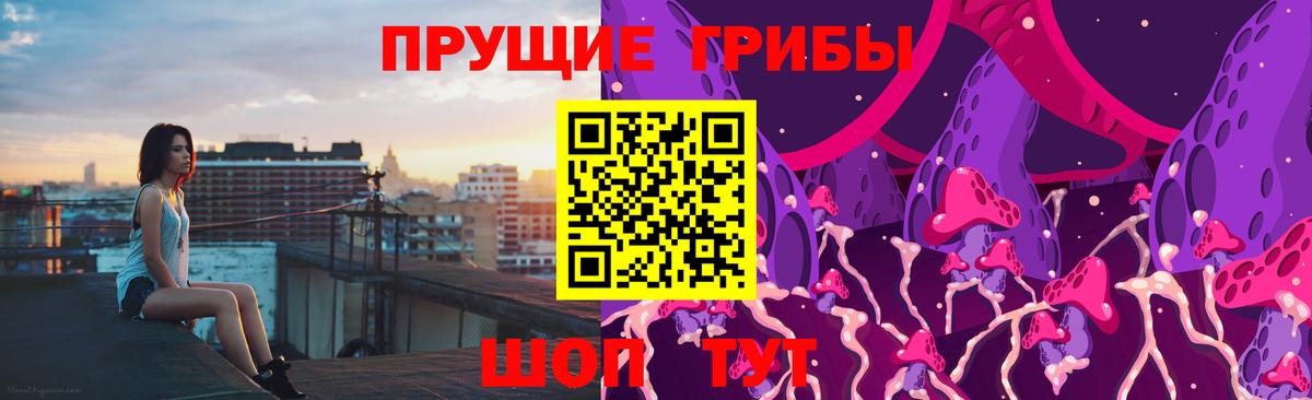 Саров  Галлюциногенные грибы Psilocybe  где купить   Вход с VPN 